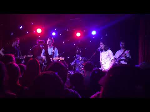 Pinegrove - New