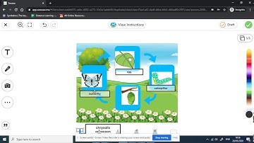 Seesaw information for parents