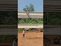 Bridge construction