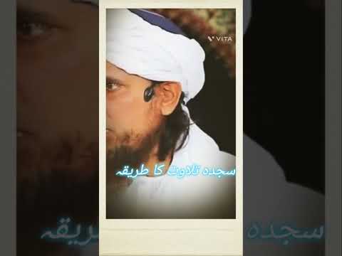 سجدہ تلاوت کا طریقہ    