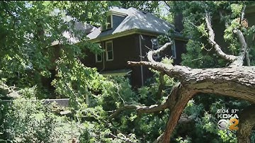 Storm Causes Tree To Crash Into Back Of Home In Edgewood