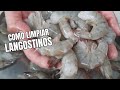 Como limpiar langostinos correctamente fish langostinos  mariscos