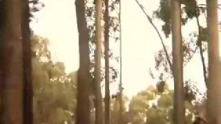 Under the Same Sky Teaser