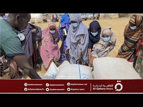 كيف أثر ت الحرب الأوكرانية على القارة الأفريقية إبراهيم ناصر أستاذ العلاقات الدولية يجيب