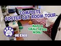 Foster Cat Room Tour, Small Space Setup - S6 E169 - Kittens, TNR, Rescue