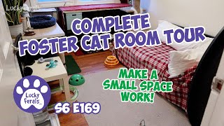 Foster Cat Room Tour, Small Space Setup  S6 E169  Kittens, TNR, Rescue