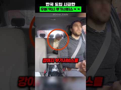 한국 도입 시급한 우버 택시 부가서비스ㅋㅋ thumbnail