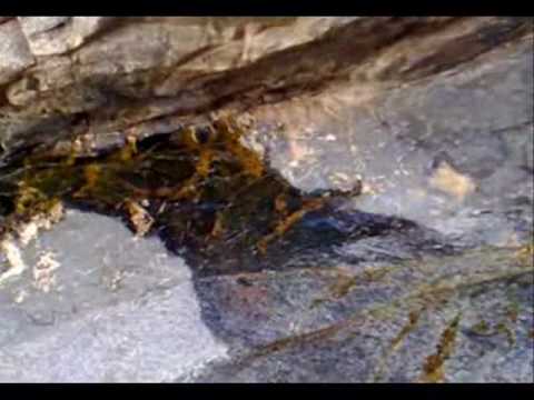 امطار وأجواء القاحه يدعه ثاني عيد الاضحى 1430 هـ