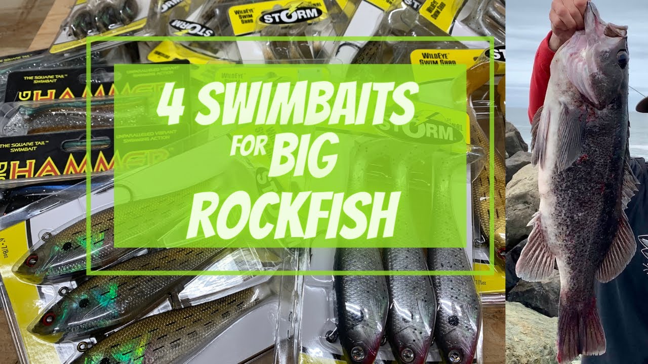 4 AMAZING Swimbaits & Setups For Jetty Fishing & Rock Fishing (Lingcod
