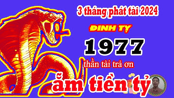3 tháng phát tài cực mạnh 2024: Đinh Tỵ 1977 LỘC TRỜI RÓT XUỐNG, trúng số liên tiếp cực giàu