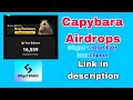 Capybara Point Airdrop In bitget wallet and telegram bot | #capybara #airdrop