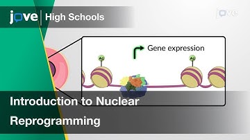 Introduction to Nuclear Reprogramming | Cell Bio | Video Textbooks - Preview