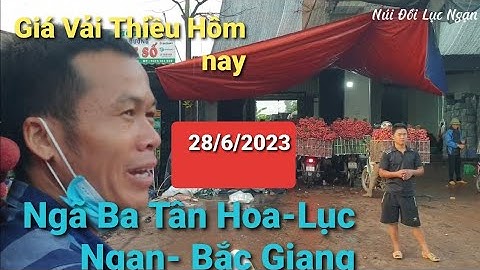 Giá Vải Thiều Lục Ngạn Tại Ngã Ba Tân Hoa l Núi Đồi Lục Ngạn