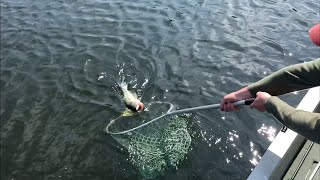 Kentucky Lake B Fishing