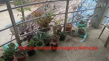 Netizens funny intro  🤣🤣🤣