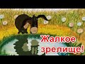 Жалкое зрелище! Душераздирающее зрелище! Кошмар!