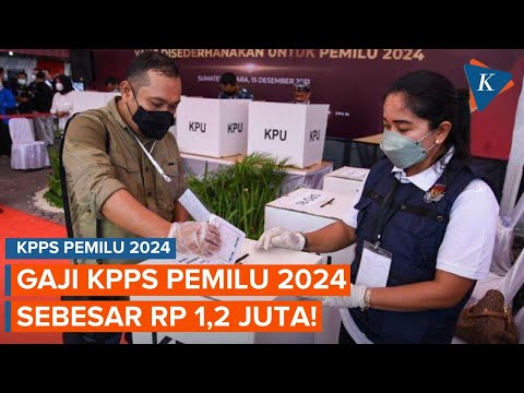 Jadwal Pendaftaran, Syarat, dan Gaji KPPS Pemilu 2024 Rp 1,2 Juta