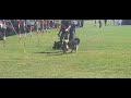 King shafed at dog show | dog show Jodhpur Polo ground | Dog show jodhpur | Dog show held at jodhpur