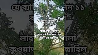 #foryou #dua #bangla #islamicvideo #wazstatus #shortsvideo #motivation #viral #esat #reels