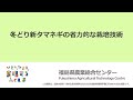 冬どり新タマネギの省力的な栽培技術