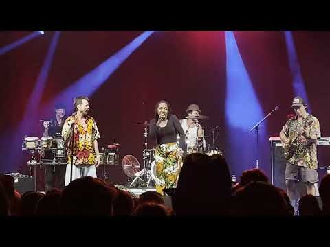 SARURA – Live at Chiemsee Reggae Summer, Germany 🇩🇪 | Tariro neGitare with Jamaram