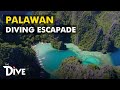 PALAWAN: Diving Escapade at Best Island in the World 2020 | THE DIVE