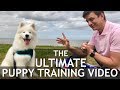 The Ultimate Puppy Training Video! Stop chewing, biting, jumping, leash training, roll over