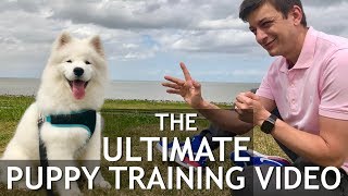 The Ultimate Puppy Training Video! Stop chewing, biting, jumping, leash training, roll over screenshot 4