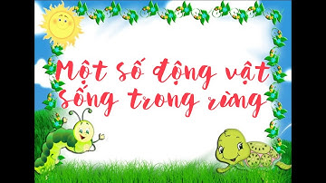 Một số động vật sống trong rừng - Some animals live in the forest- Tìm hiểu và khám phá.