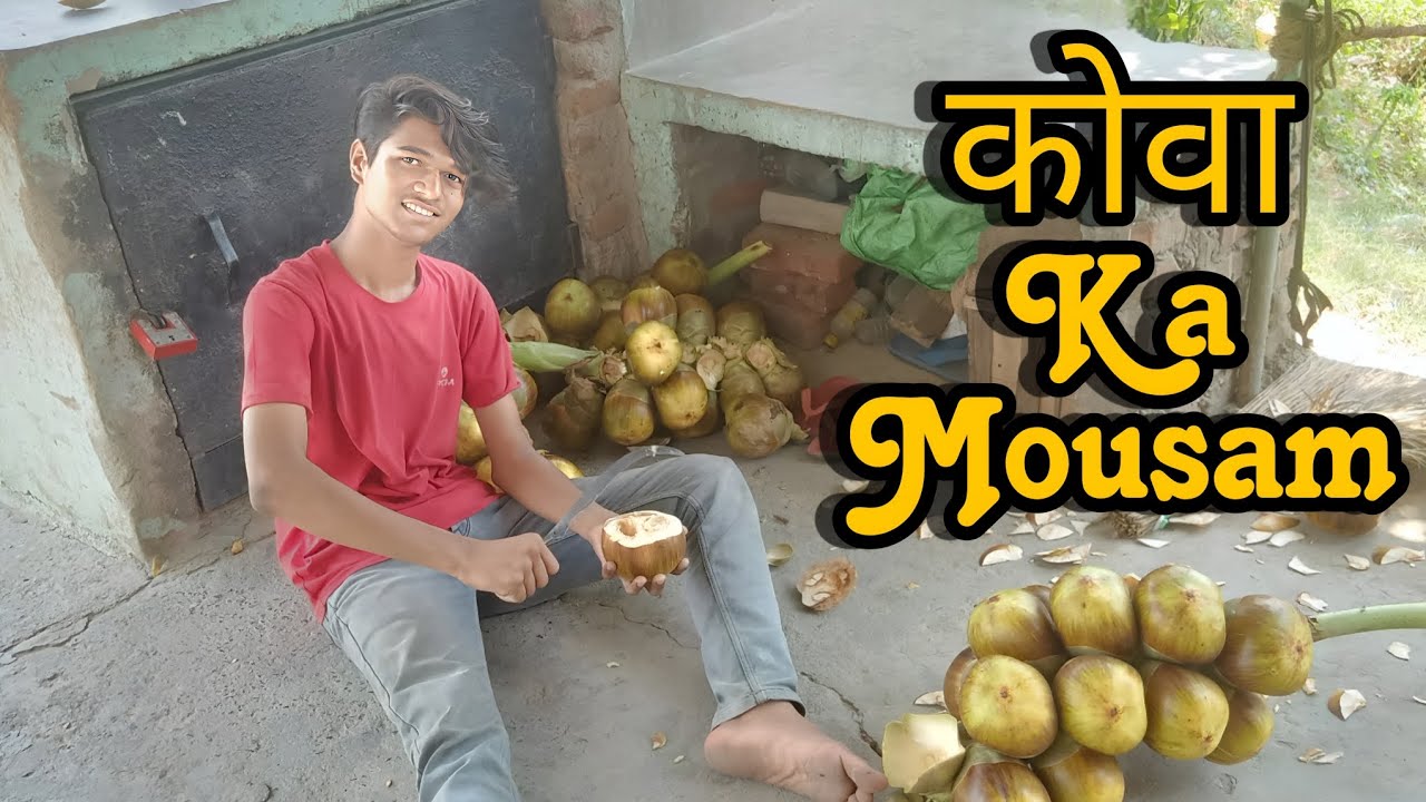 कोवा ka mausam YouTube