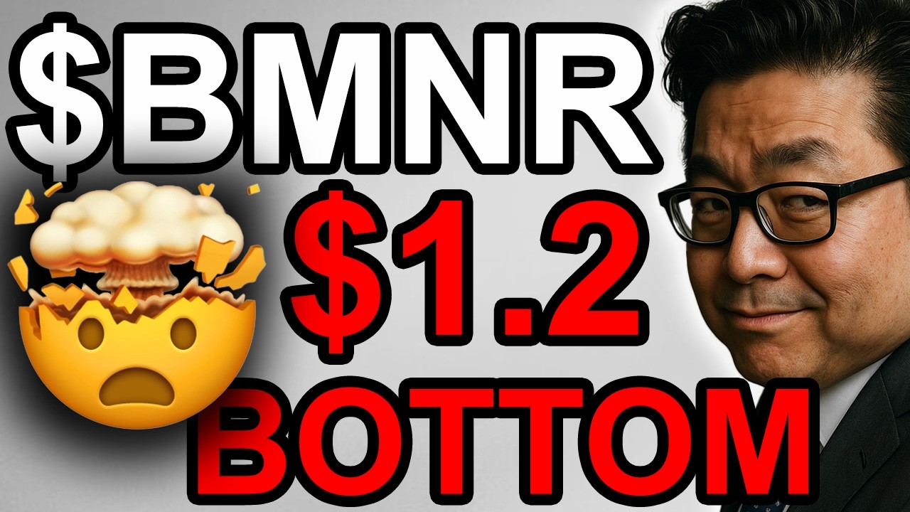 $BMNR: They create their own BOTTOM with $1.2B