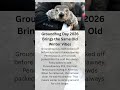 Groundhog Day 2026 Brings the Same Old Winter Vibes #GroundhogDay2026 #GroundhogDay #shorts