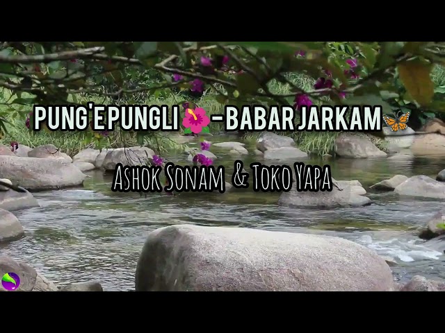 Pung'e pungli - Babar Jarkam | Nyishi romantic song | Arunachal song. class=