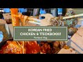 Portland Vlog | Korean Fried Chicken | Discovering ice cream for dogs!