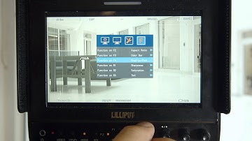 Fix oversharpening issue with Lilliput 663