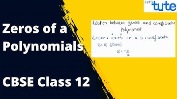 Geometrical Representation of the Zeros of a Polynomials | Class 12 | Letstute CBSE