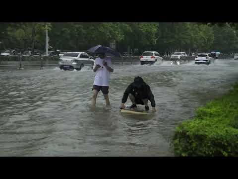 Video: Inondazioni Primaverili Del Sito: Come Salvare Le Piante? Esperienza Personale, Foto