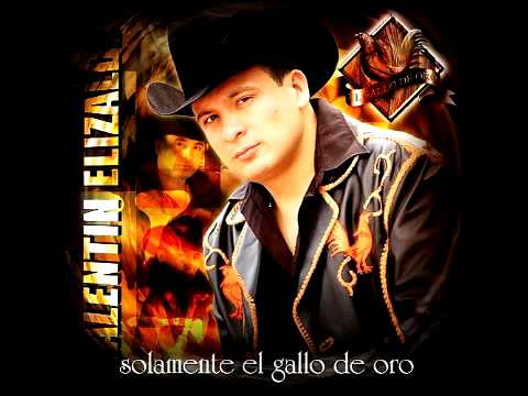 Cuanto Me Gusta Este Rancho - Valentin Elizalde