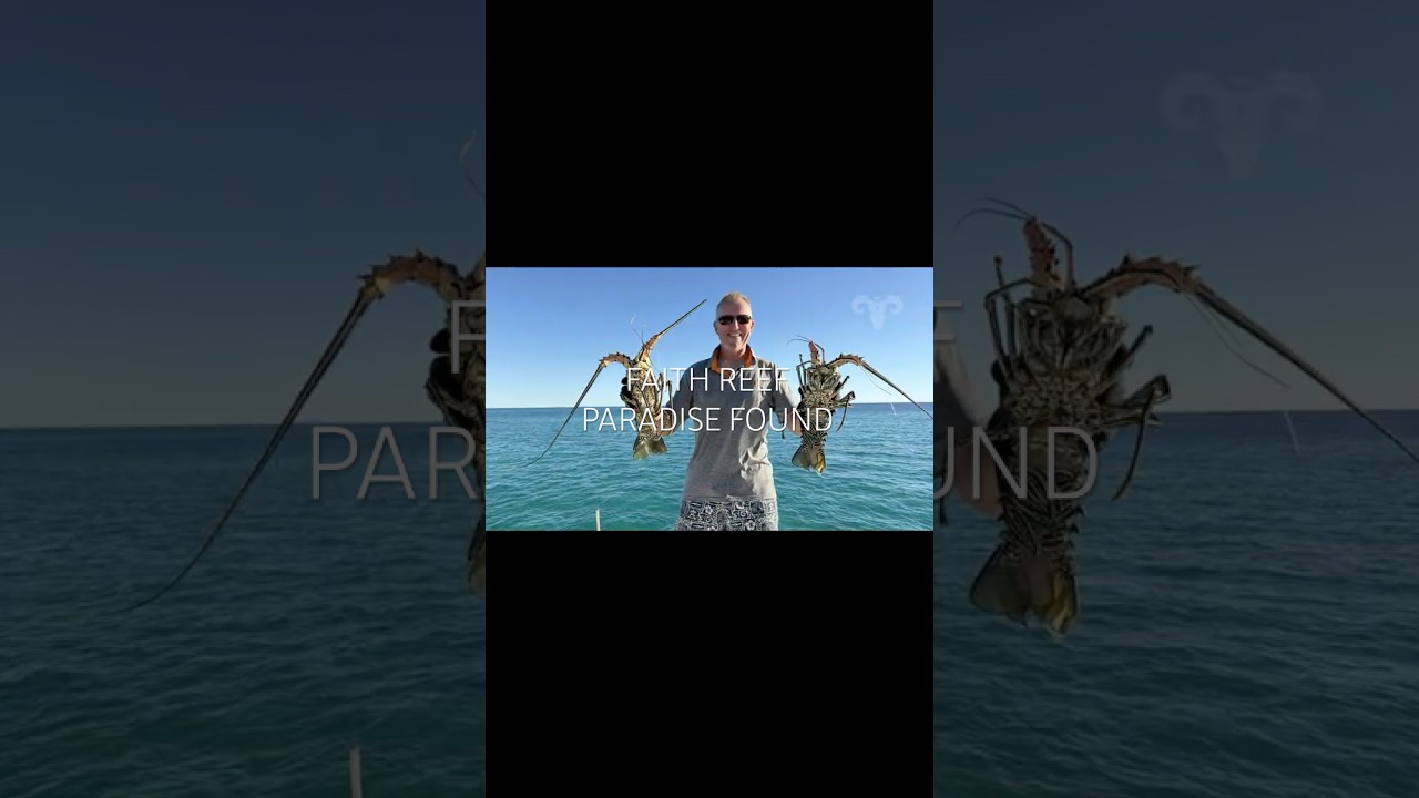 ⁣Faith Reef Paradise - Found | Sailing ARGO