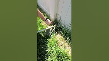Thumbnail of Weed Eater for the win in those tight corners