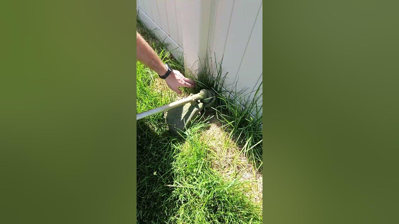 Weed Eater for the win in those tight corners