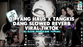 DJ YANG HAUS X TANGKIS DANG || DJ CAMPURAN SLOWED REVERB VIRAL TIKTOK 2024