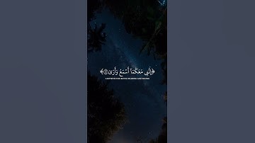 شريف مصطفى - سورة طه #قران #قران_كريم #qur49n #quran #quran_alkarim #شريف_مصطفى #سورة_طه