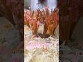 食べるお花見。必笑・桜団子剣!【酒村いっも、】