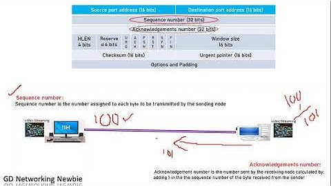 TCP Header Explained | TCP Header Fields | Transport Layer | TCP Header Flags