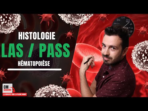 Vidéo: Différence Entre L'hématopoïèse Et L'érythropoïèse