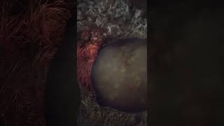 @UzbekFilmsHD @UZBEK-TV @uzbekskayakuxniya @uzbekayoli @CoComelon @xxxtentacion