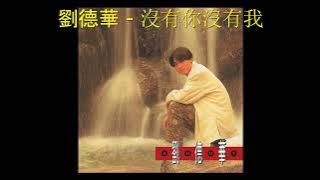 劉德華 - 沒有你沒有我