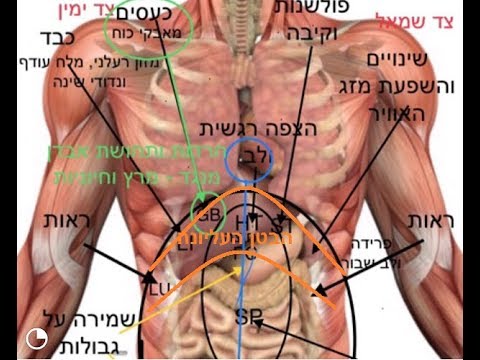 וִידֵאוֹ: הבטן כואבת בטבור אצל מבוגר