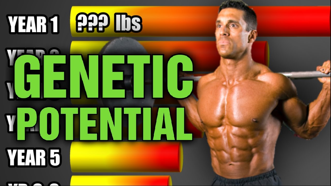 How Much Muscle Will You Really Gain As A Natural Each Year YouTube